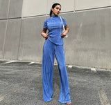 Pleated Wide Leg Pants 2pc