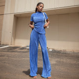 Pleated Wide Leg Pants 2pc