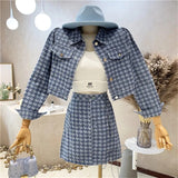 Houndstooth Long Sleeve Cropped Jacket And High Waist A-Line Mini Skirt 2pc