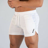 Mens Workout Bodybuilding Gym Shorts