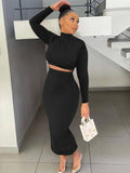 Turtleneck Crop Top and High Waist Bodycon Maxi Skirt