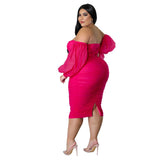 Off Shoulder Mesh Sleeve Elegant Maxi Dress-PS