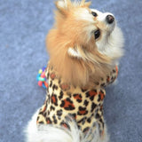 Color Prints Warm Pet Fleece