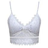 Wireless Lace Bra Push up