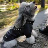 Back Zipper Pet Leather Jacket