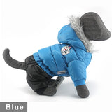 Waterproof Pet Coat for French Bulldog