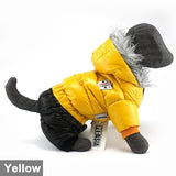 Waterproof Pet Coat for French Bulldog