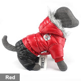 Waterproof Pet Coat for French Bulldog