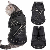 Back Zipper Pet Leather Jacket