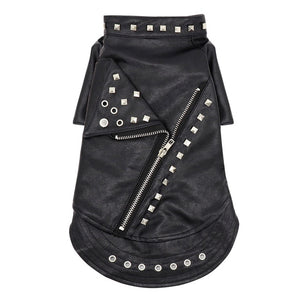 Back Zipper Pet Leather Jacket