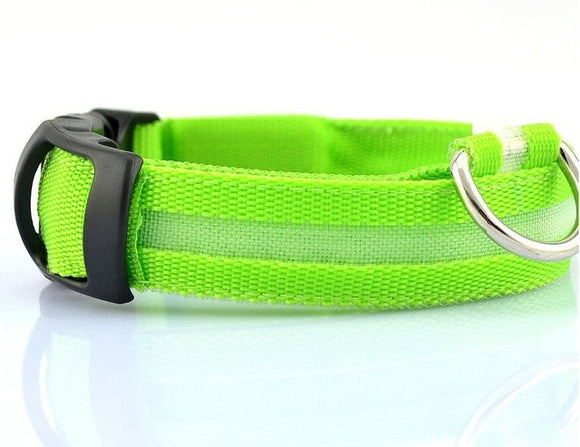 LED Pet Collar