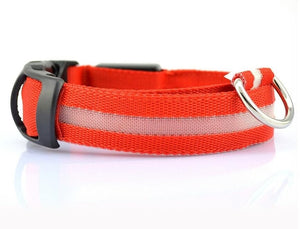 LED Pet Collar