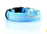 LED Pet Collar