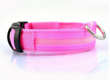 LED Pet Collar