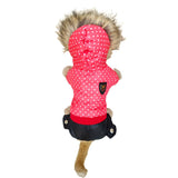 Dog Pok -a-Dot Jacket w/Hood