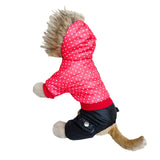 Dog Pok -a-Dot Jacket w/Hood