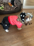 Dog Pok -a-Dot Jacket w/Hood