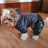 Dog Pok -a-Dot Jacket w/Hood