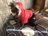 Dog Pok -a-Dot Jacket w/Hood