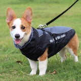 Large Pet Waterproof Fur Collar Coat