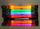 LED Pet Collar