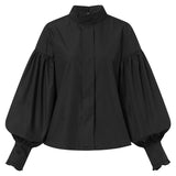 Big Lantern Sleeve Blouse Top