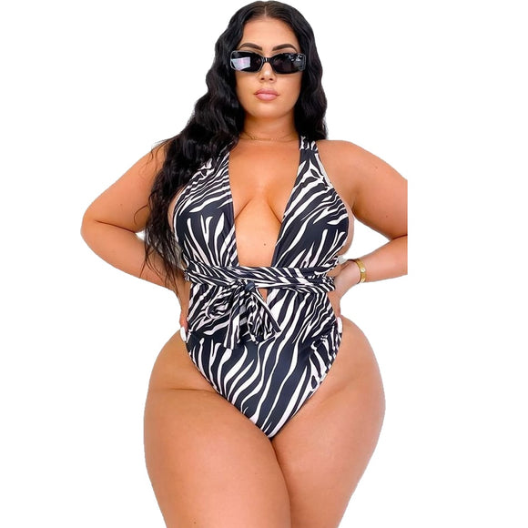 High Cut Deep Plunge 1pc Swimsuit