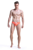 Mens Bikini Swimwear Beach Bathing Suit