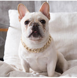 Plastic Punk Gold Dog Chain Collar