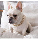 Plastic Punk Gold Dog Chain Collar