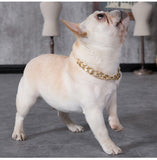 Plastic Punk Gold Dog Chain Collar