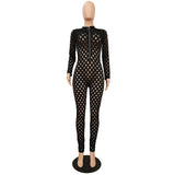 Hollow Out Sheer Front Zipper Long Sleeve Jumpsuit