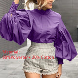 Big Lantern Sleeve Blouse Top