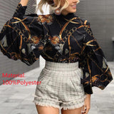 Big Lantern Sleeve Blouse Top