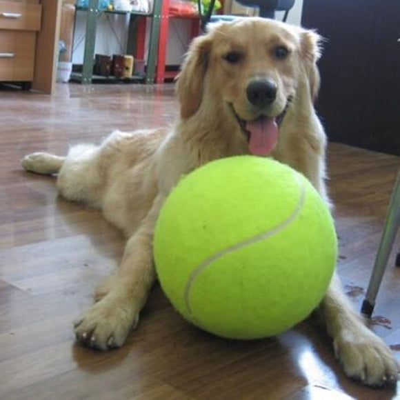 9.5 Inches Giant Dog Tennis Ball