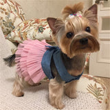 Jean Dress Skirt Puppy Clothing