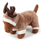 Pet Clothes Fun Halloween & Christmas