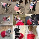 Jean Dress Skirt Puppy Clothing