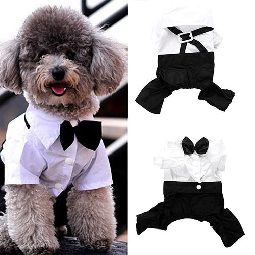 Princeton Tuxedo Bow Tie Suit for Dogs