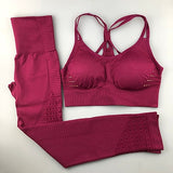 Seamless Yoga Fitness Set