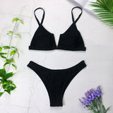 V Neck Bikini 2pc Swimsuit