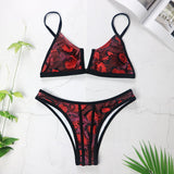 V Neck Bikini 2pc Swimsuit