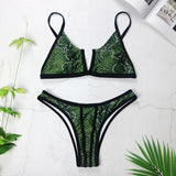 V Neck Bikini 2pc Swimsuit