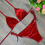 Velvet Thong Brazilian 2pc Swimsuit