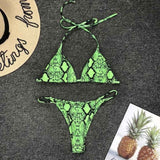 High Waist  Animal Print Thong 2pc Swimsuit