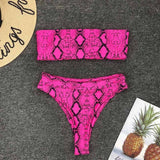 High Waist  Animal Print Thong 2pc Swimsuit