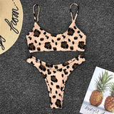 High Waist  Animal Print Thong 2pc Swimsuit