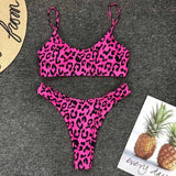 High Waist  Animal Print Thong 2pc Swimsuit