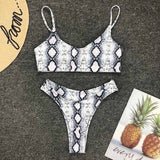 High Waist  Animal Print Thong 2pc Swimsuit