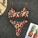 High Waist  Animal Print Thong 2pc Swimsuit